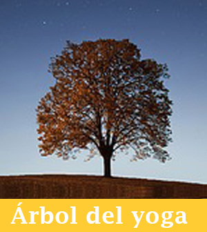 El árbol del Yoga